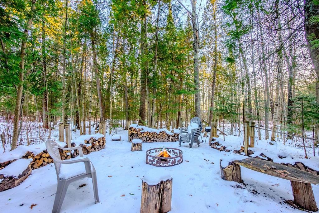 Hidden Gem, 3 Bed Cozy Condo - Dogs Welcomed Bayfield Exterior foto
